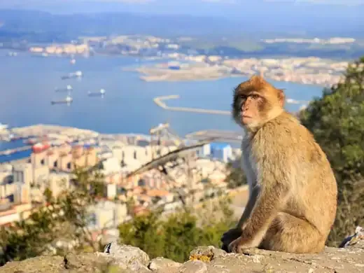 Visita guiada en taxi a Gibraltar