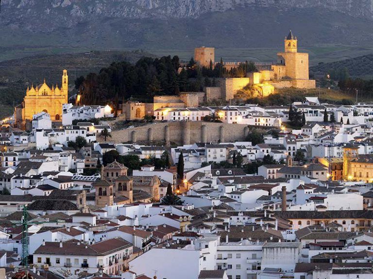 Visita guiada en taxi por Antequera